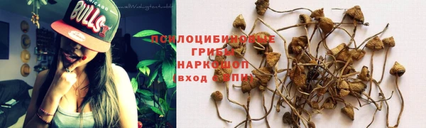 спайс Усмань